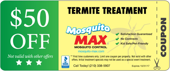 termite control in San Antonio